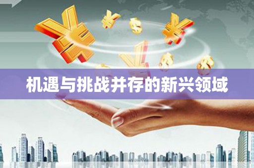 五台机遇与挑战并存的新兴领域
