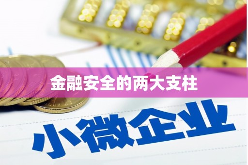 五台金融安全的两大支柱