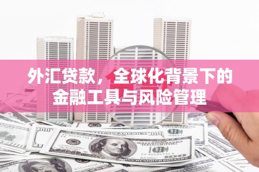五台外汇贷款，全球化背景下的金融工具与风险管理