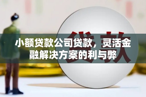 五台小额贷款公司贷款，灵活金融解决方案的利与弊